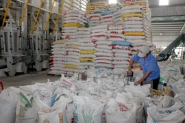 Rice exports experience a significant annual decrease. (Photo: VNA)