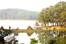A part of the Golden Valley in Da Lat (Photo: VNA)