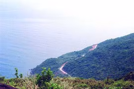 An bird's-eye view of Son Tra Mountain (Photos Courtesy of Bui Van Tuan)
