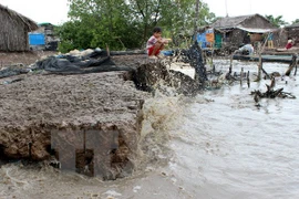 Climate change and sea level rise have caused drastic impacts on livelihoods. (Photo: VNA)