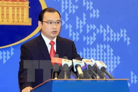 Foreign Ministry’s Spokesperson Le Hai Binh. Photo: VNA