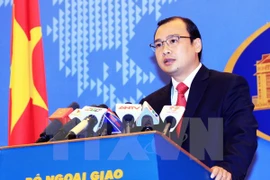 Foreign Ministry’s Spokesperson Le Hai Binh. Photo: VNA