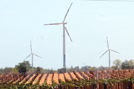 Wind power system in Tuy Phong district, Binh Thuan province (Source: VNA)