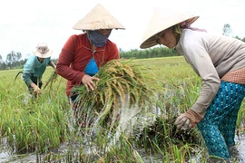 The USAID predicted a big loss stemming from potential infrastructure damage caused by flooding and other extreme weather events. (Photo: dwm)