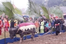 Long Tong festival (Source: Anh Tuan/VNA)
