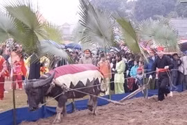 Long Tong festival (Source: Anh Tuan/VNA)