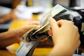 Under the survey, banks forecast that the banking system's average credit growth would increase to 16.93 per cent this year from 14.57 per cent forecast in an earlier survey last December. (Photo: doisongphapluat)