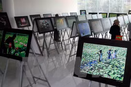 A photo exhibition (Photo: VNA)