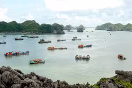 Lan Ha Bay in eastern part of Cat Ba island (Photo: VNA)