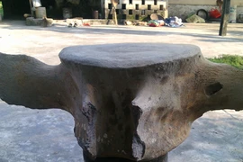 The fossilised vertebra measures 37cm by 35cm by 80cm and weighing 19kg (Photo: vnexpress.net)