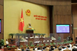 NA members vote to adopting a 2016 resolution on NA inspection activities. Photo: VNA