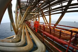 The refinery is expected to produce 8.5 million tonnes of crude oil a year (171,000 barrels per day) once a projected upgrade is finished by 2022 (Photo: VNA)