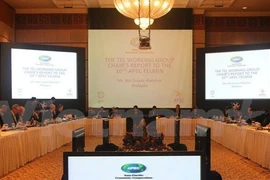 A view at the 10th APEC Telecommunications and Information Ministerial Meeting. (Photo: VNA)