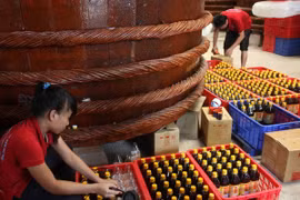 Brand Phu Quoc Fish Sauce needs protection 