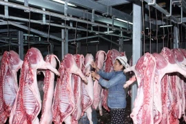 A slaughter house in Da Nang (Photo: VNA)