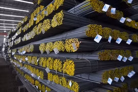 The Hoa Phat Steel Company had the largest consumption of steel pipes at 145,300 tonnes, holding 21.85 percent of the total steel tube consumption, followed by Hoa Sen (130,528 tonnes) (Photo: ndh)