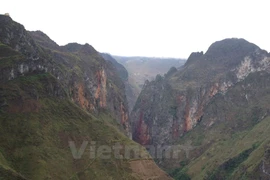 A canyon of the Dong Van Stone Plateau (Photo: VNA)