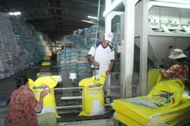 Rice production for export. (Photo: VNA)