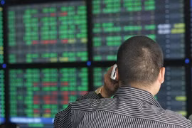 An investor follows transactions at Bao Viet Securities Company in Ha Noi. Photo: VNS