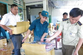 Pirate discs are seized in Ho Chi Minh City (Photo: VNA)