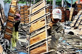 Cinnamon bark is dried at the Tra Bong Cinnamon Co. Ltd (Photo: VNA)