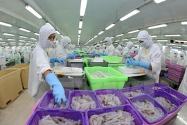Processing shrimp for export in (Source: VNA)