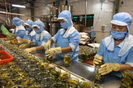 Processing agricultural exports (Photo: VNA) 