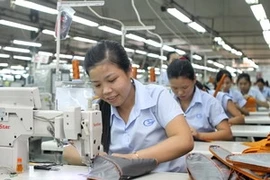 Denmark helps VN business lift competitiveness 
