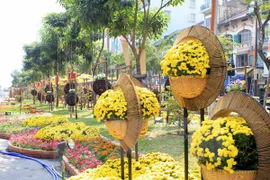 Flower, book streets in Ho Chi Minh City. (Photo: VNA)
