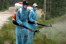 Workers spray anti-mosquito larva chemical (Photo: VNA)