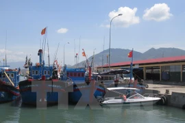 Fishing boats at Da Bac Port in Cam Ranh city, central Khanh Hoa province. (Photo: VNA)
