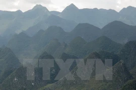 Dong Van plateau was recognised as a member of the Global Network of National Geoparks in 2010 (Photo: VNA)