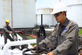 Operating oil and petrol supply system in PV Oil Dinh Vu (Source: VNA)