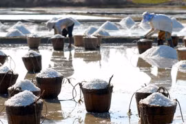 WHO warns that consuming too much salt can lead (or contribute) to high blood pressure, and greatly increase the risk of cardiovascular diseases and stroke (Photo: VNA)