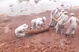 An unexploded bomb is removed in Quang Tri province (Photo: VNA)
