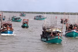 Fishing boats in Ca Mau province (Photo: VNA)