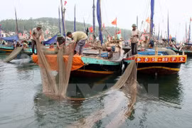 Off-shore fishing boats at Hai Binh commune, Tinh Gia district, central Thanh Hoa province (Photo: VNA)
