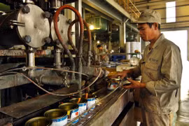 IPP progamme deployed at Hai Phong Painting Company (Photo:VNA)