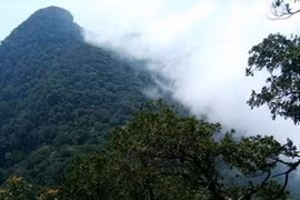 King Peak, the highest peak in Ba Vi National Park (Source: VOV)