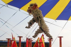 Illustrative image. Photo: VNA