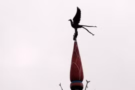 The Neu pole's top part (Photo: VNA)