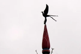 The Neu pole's top part (Photo: VNA)