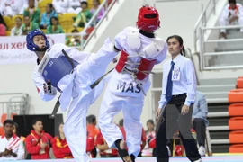Vietnam’s taekwondo martial artists amassed 46 gold medals at the regional contest (Photo: VNA)
