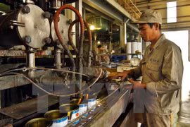 Illustrative image (A company participates in Vietnam-Finland Innovation Programme's first phase - Photo: VNA)