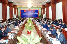 At the conference (Photo: VNA)