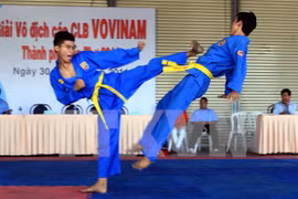 Illustrative image (Photo: VNA)