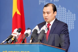Spokesperson of the Ministry of Foreign Affairs Le Hai Binh (Photo: VNA)