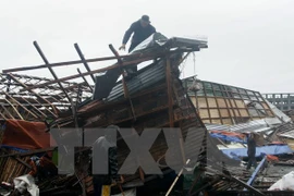 Tacloban city (Source: VNA)