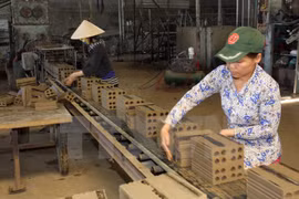Producing tuynen bricks at the Phu Son Tuynen Brick Co. Ltd (Photo: VNA)