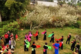 A xoe dancing performance of the ethnic Tay people in Lao Cai (Photo: VNA)